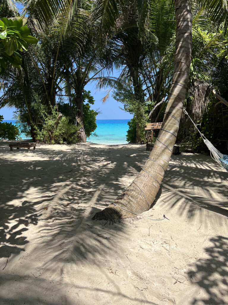 Dhigurah Maledivy Travel to the shoreline